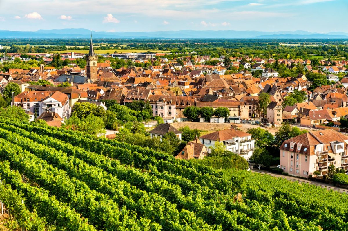Obernai - Strasbourg - Alsace