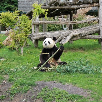 Aparthotel ZooParc de Beauval